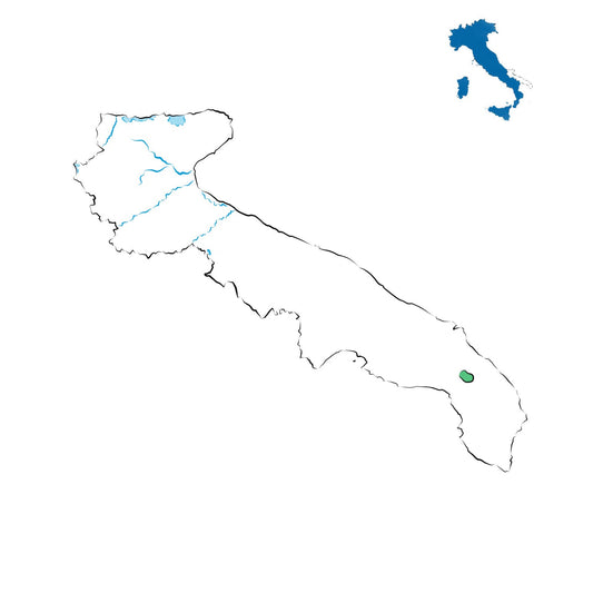 Leverano DOC: vini del Salento tra tradizione e tipicità