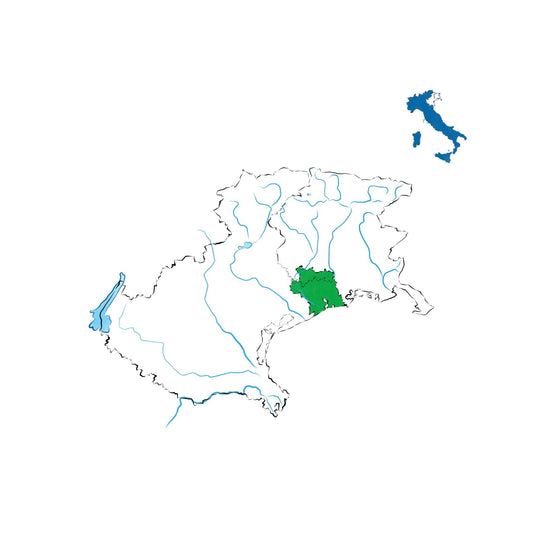 Lison-Pramaggiore DOC: il bianco storico tra Veneto e Friuli