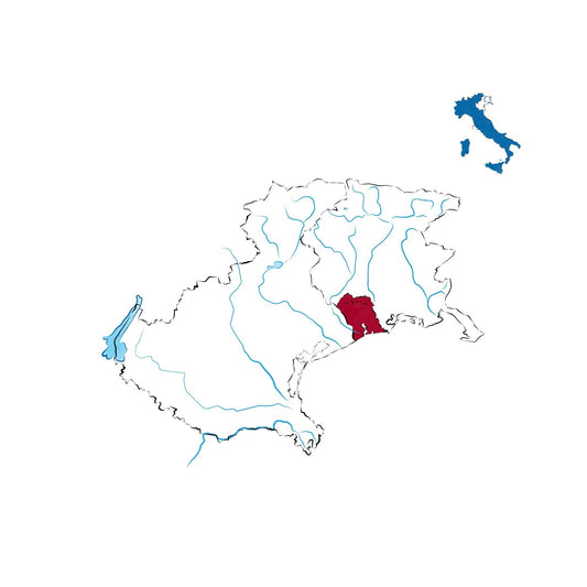 Lison DOCG: il bianco storico tra Veneto e Friuli Venezia Giulia
