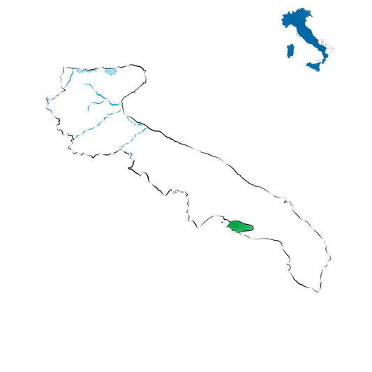 Lizzano DOC: i vini solari del Tarantino