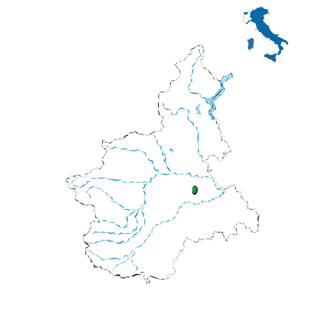 Malvasia di Casorzo DOC: il bianco aromatico delle colline astigiane
