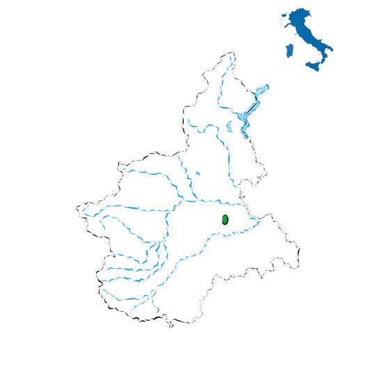 Malvasia di Casorzo DOC: il bianco aromatico delle colline astigiane