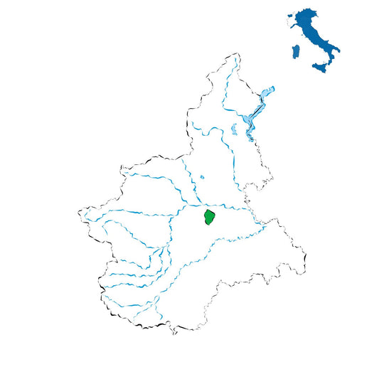 Malvasia di Castelnuovo Don Bosco DOC: il bianco aromatico delle colline astigiane
