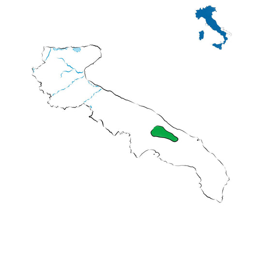 Martina Franca DOC: l’eleganza dei bianchi della Valle d’Itria