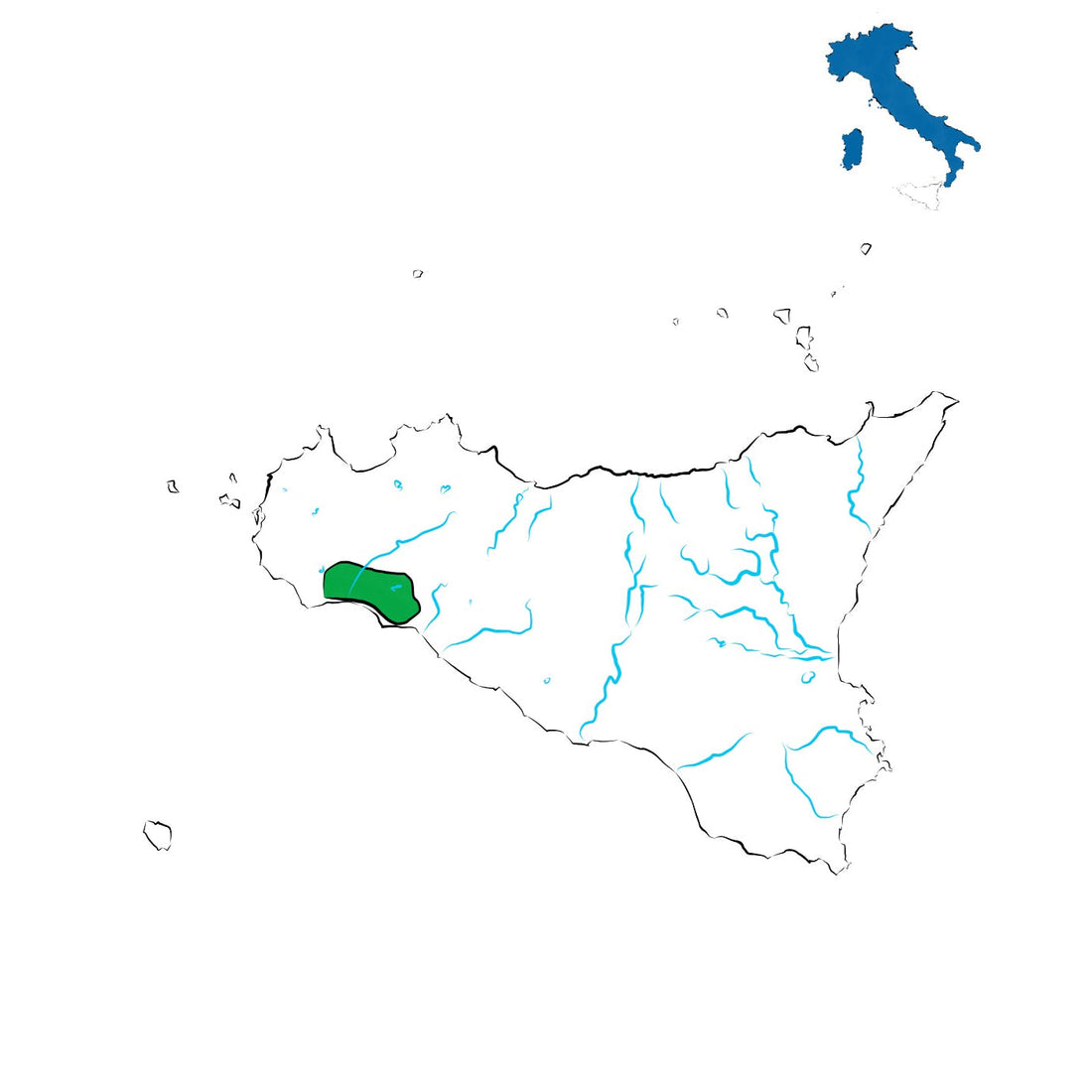 Menfi DOC: il vino versatile della Sicilia occidentale