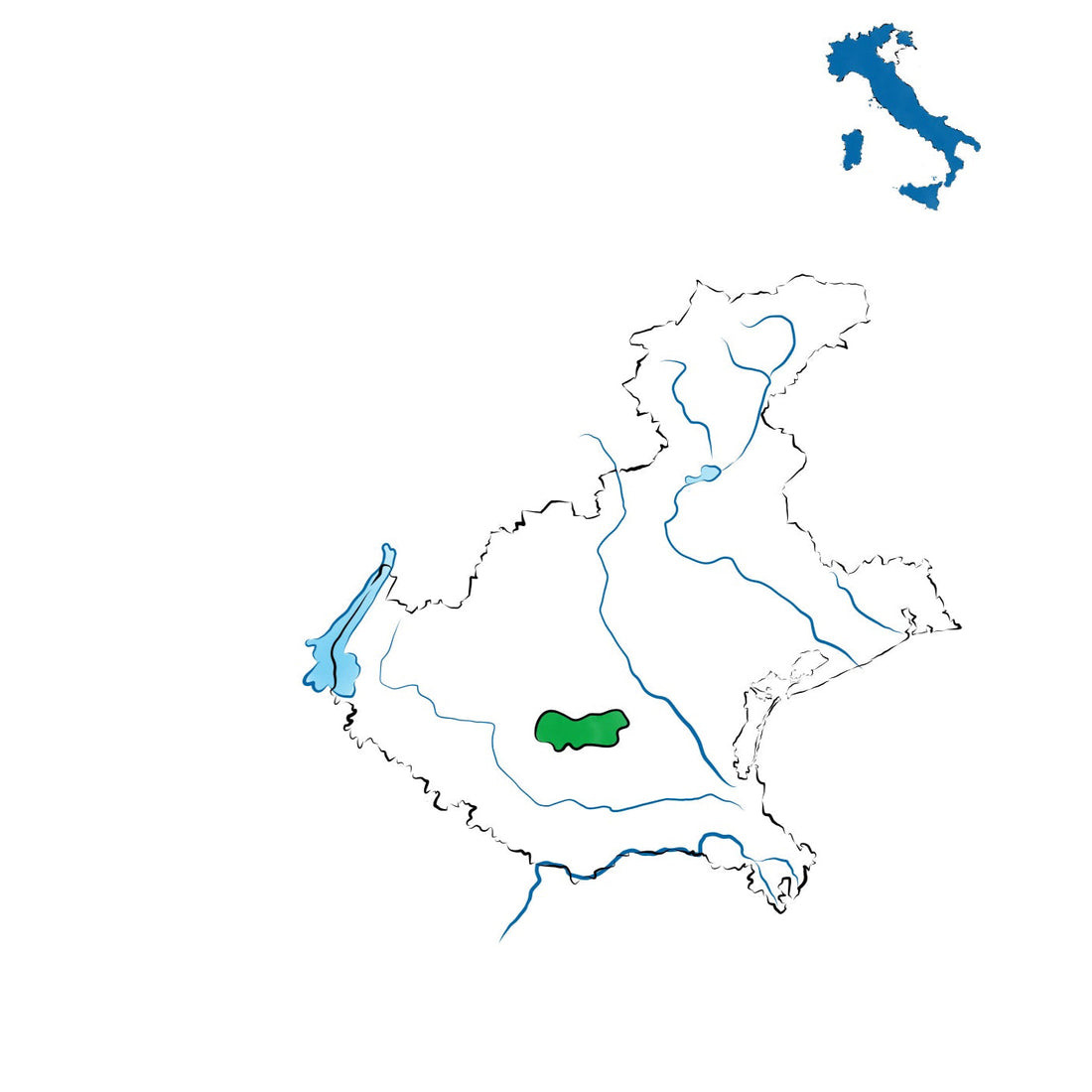 Merlara DOC: vini tra tradizione e pianura veneta