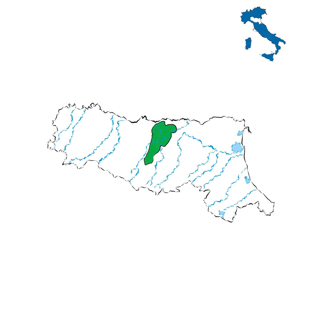 Modena DOC: vino della tradizione emiliana