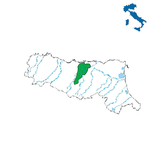Modena DOC: vino della tradizione emiliana