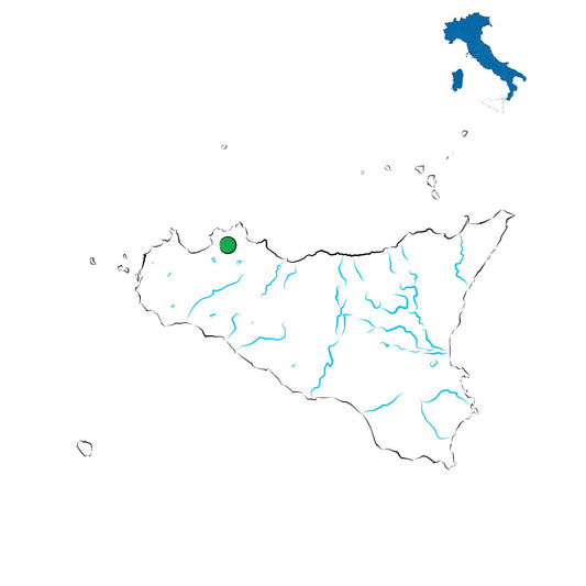 Monreale DOC: vini storici della Sicilia occidentale