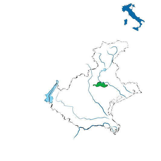 Asolo Montello DOC: vini tra colline e tradizione veneta