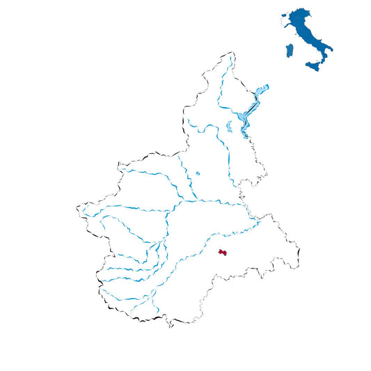 Moscato di Canelli DOCG: l’aromatico d’eccellenza del Piemonte