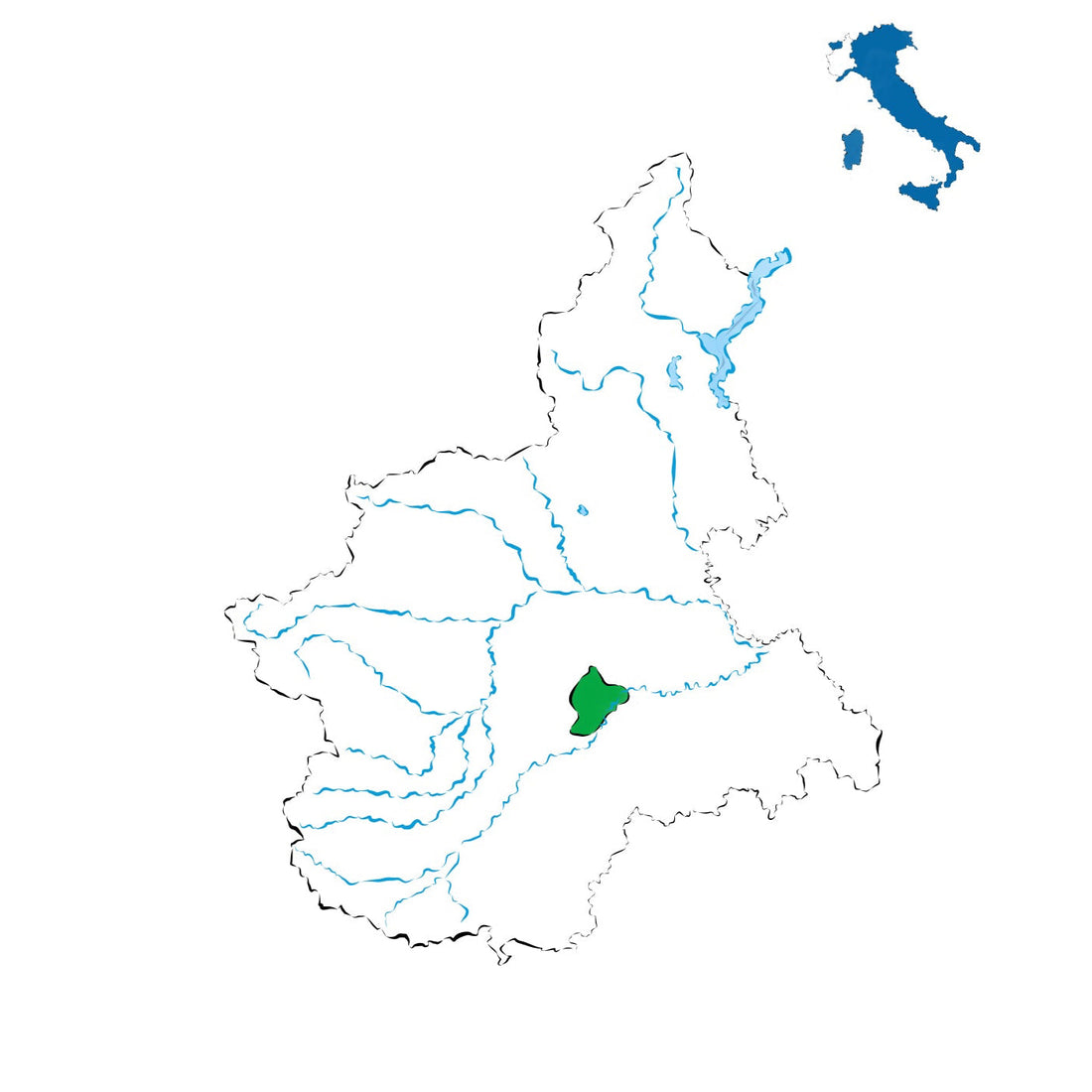 Nebbiolo d’Alba DOC: eleganza e struttura dal cuore del Piemonte