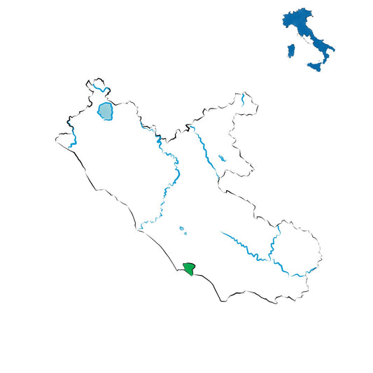 Nettuno DOC: la piccola “gemella” del Frascati sul mare