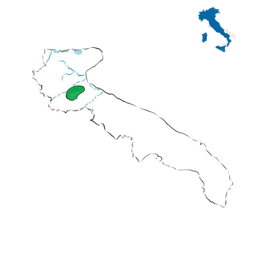 Orta Nova DOC: vini del Tavoliere delle Puglie