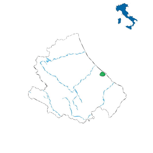 Ortona DOC: vini della costa teatina