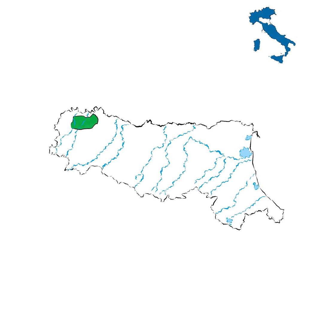Ortrugo dei Colli Piacentini DOC: freschezza e tradizione dell'Emilia-Romagna