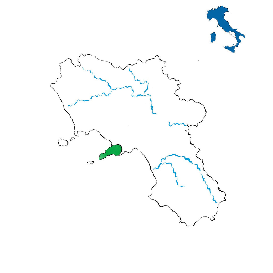 Penisola Sorrentina DOC: i vini della costiera campana