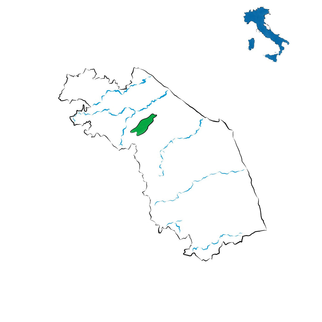 Pergola DOC: l’espressione marchigiana dell’Aleatico