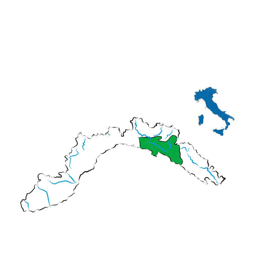 Golfo del Tigullio DOC: i vini della Riviera di Levante