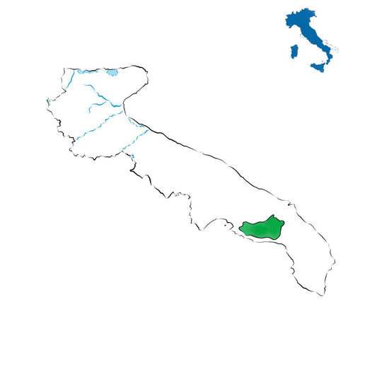 Primitivo di Manduria DOC: il simbolo pugliese del Sud