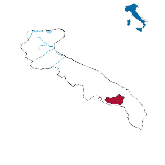 Primitivo di Manduria Dolce Naturale DOCG: il dolce intenso della Puglia