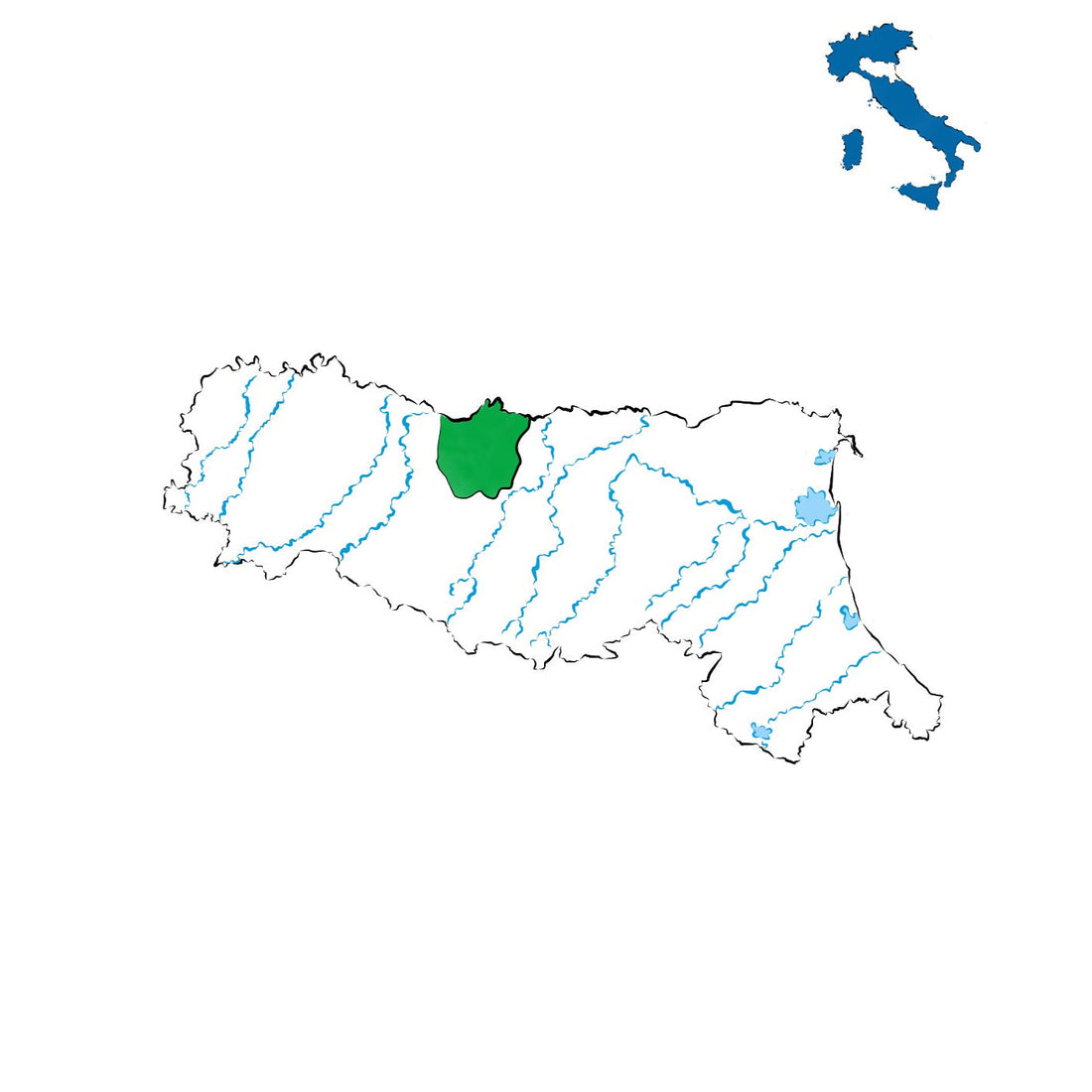 Reggiano DOC: la tradizione vitivinicola della provincia di Reggio Emilia