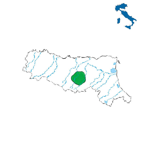 Reno DOC: i vini della pianura tra Bologna e Modena