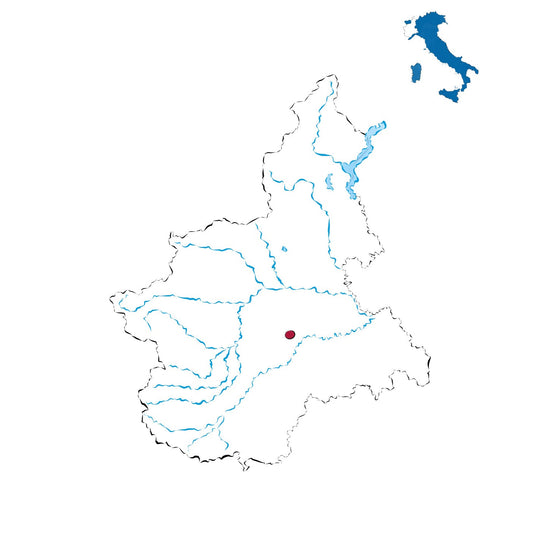 Roero DOCG: eleganza e freschezza tra le colline del Piemonte