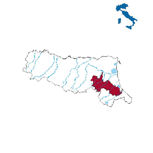 Romagna Albana DOCG: il bianco storico della Romagna