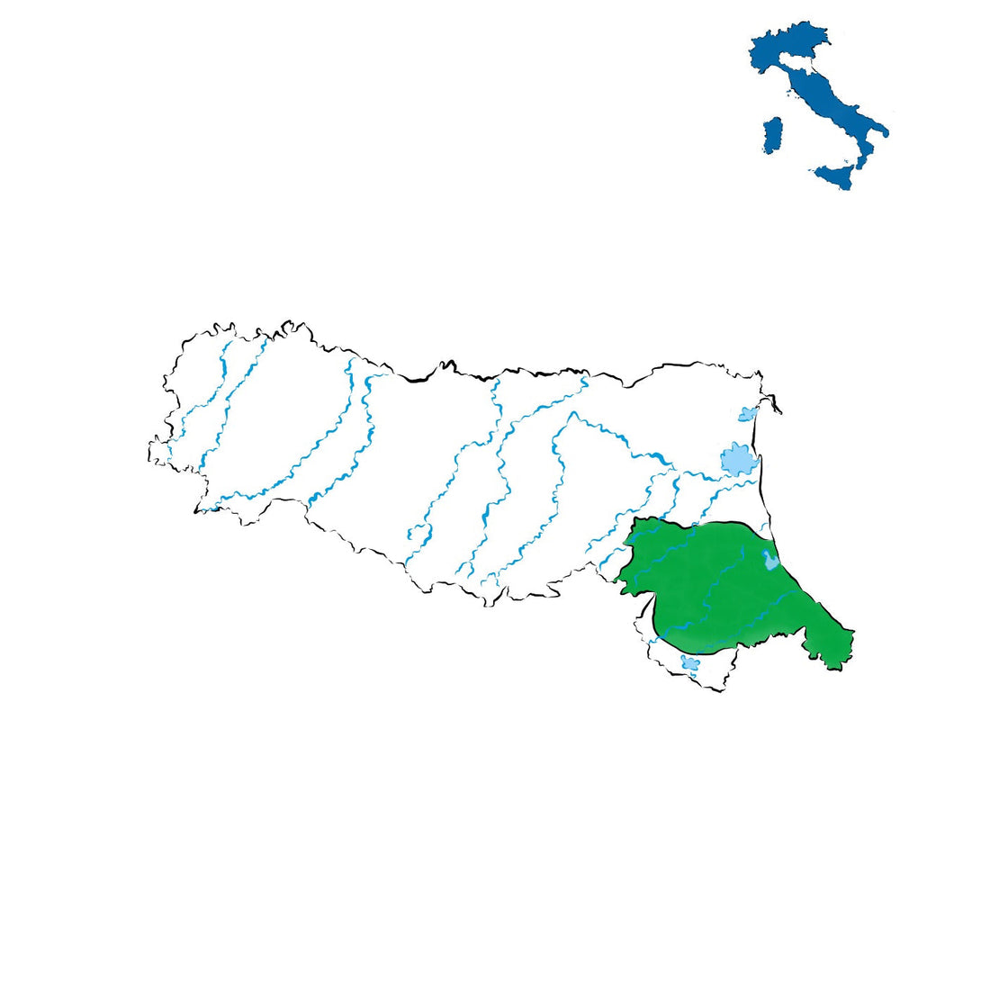 Romagna DOC: l’anima vitivinicola della Romagna