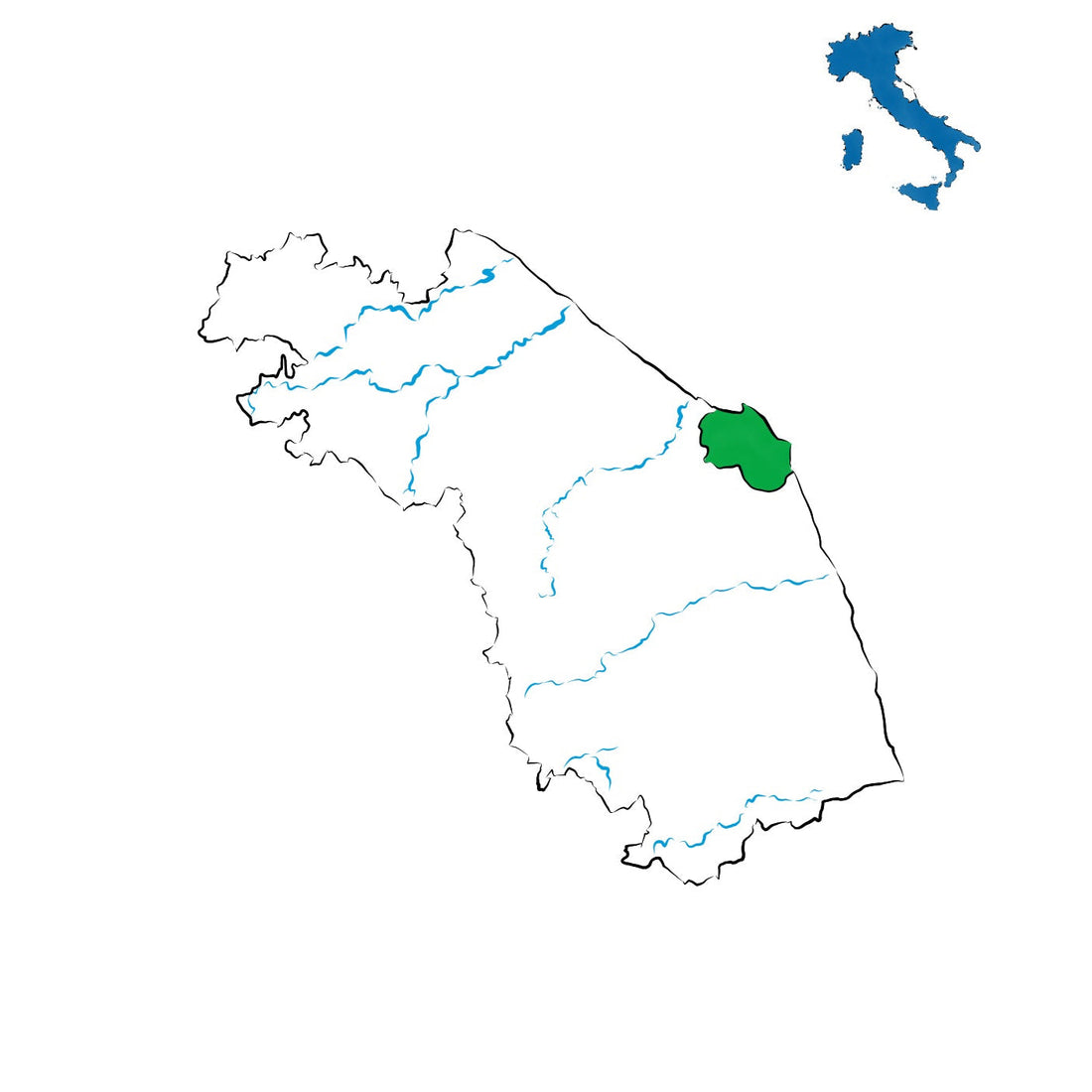 Rosso Conero DOC: l’anima del Montepulciano sul mare Adriatico