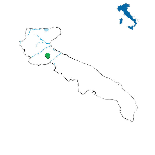 Rosso di Cerignola DOC: l’eleganza pugliese del Nord-Provincia di Foggia