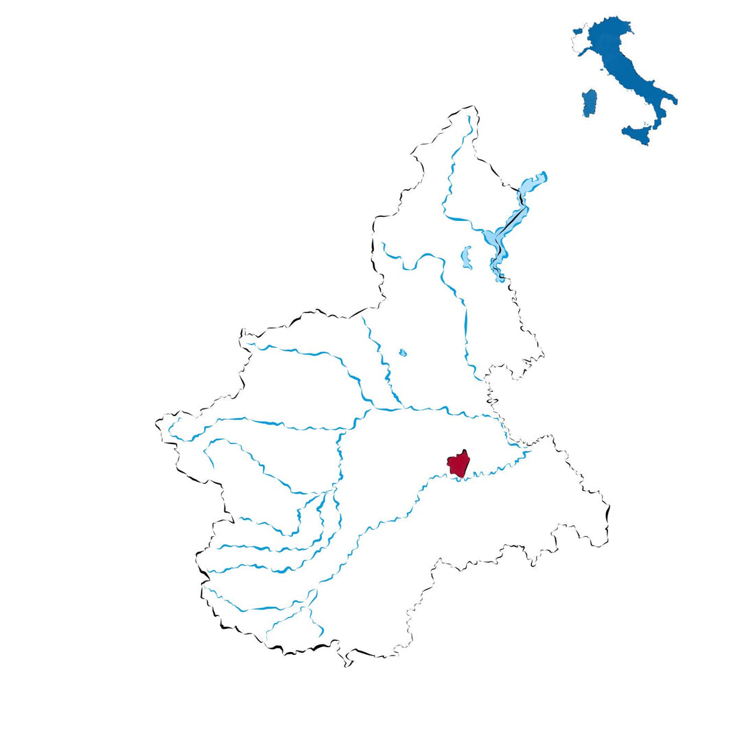 Ruché di Castagnole Monferrato DOCG: l’aromatico del Monferrato