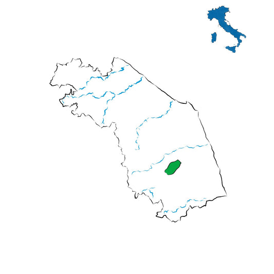 San Ginesio DOC: il rosso e il rosato delle Marche da Vernaccia Nera