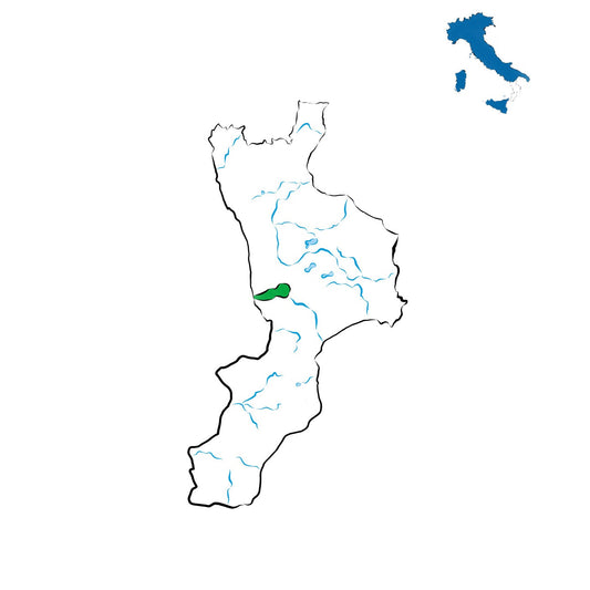 Scavigna DOC: il vino tra mare e colline calabresi