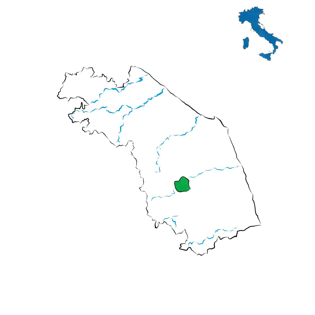 Serrapetrona DOC: la versione quotidiana della Vernaccia Nera