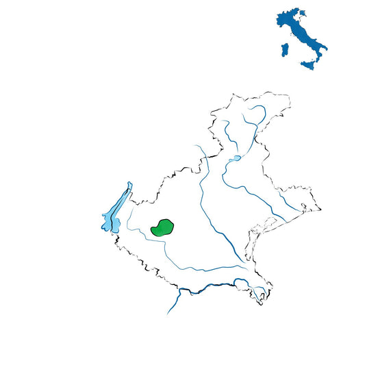 Soave DOC: il simbolo dei vini bianchi del Veneto