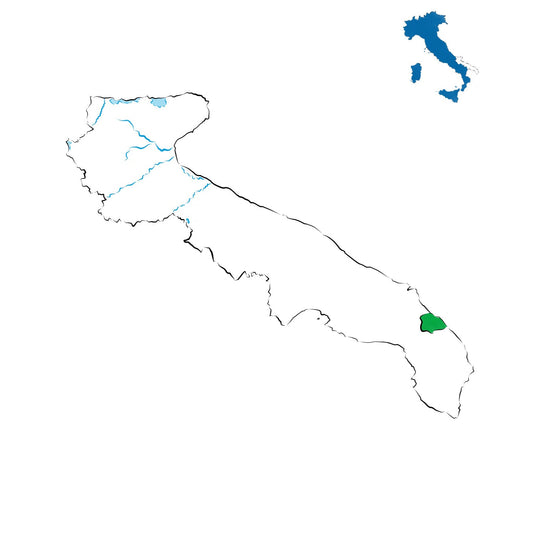 Squinzano DOC: il rosso e il rosato della Puglia salentina