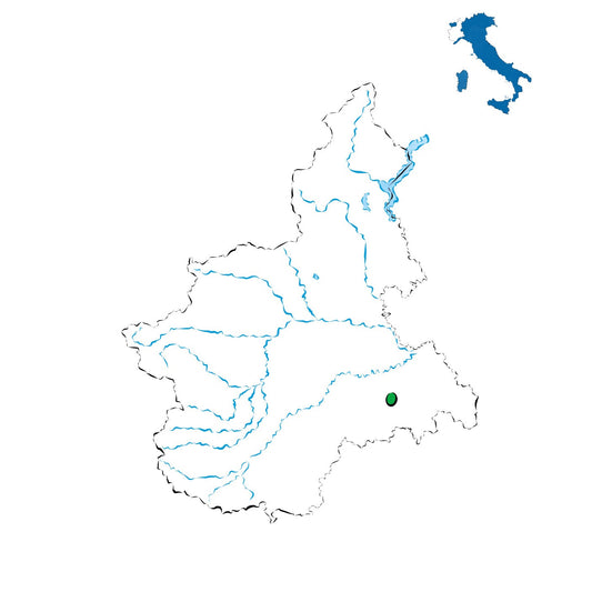 Strevi DOC: il regno del Moscato e dei vini aromatici del Monferrato