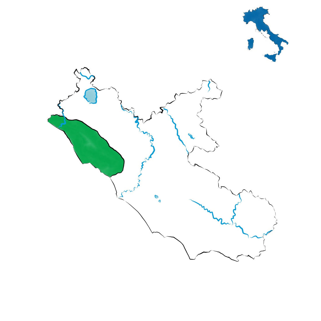 Tarquinia DOC: la viticoltura etrusca tra mare e colline