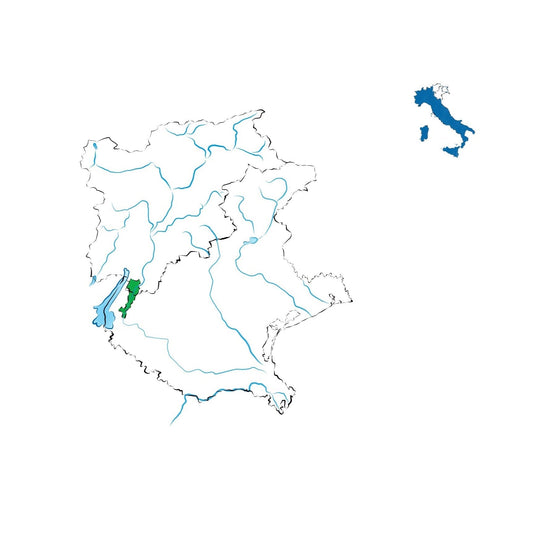 Valdadige Terradeiforti DOC: il ponte tra Trentino e Veneto