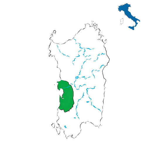 Campidano di Terralba DOC: vini del Campidano occidentale