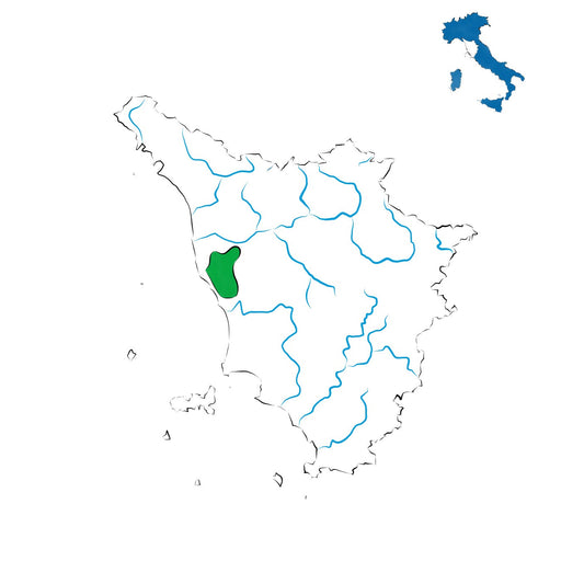 Terratico di Bibbona DOC: vini della Costa Toscana