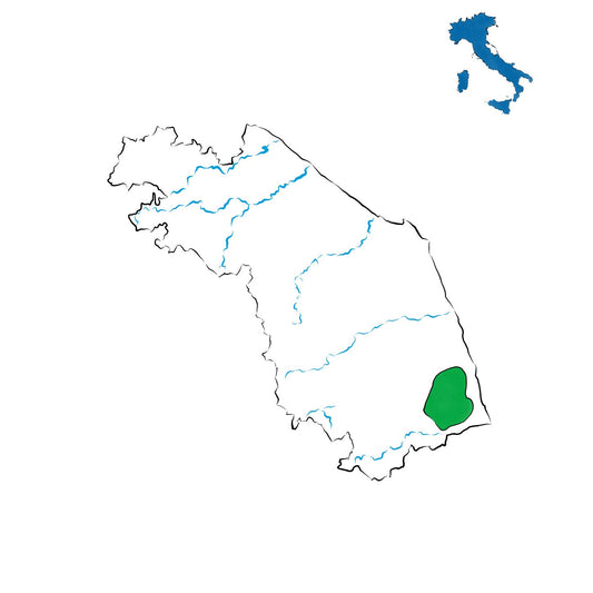 Terre di Offida DOC: la casa delle autoctone marchigiane
