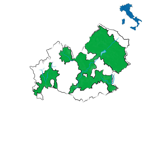 Tintilia del Molise DOC: il vitigno autoctono simbolo del Molise
