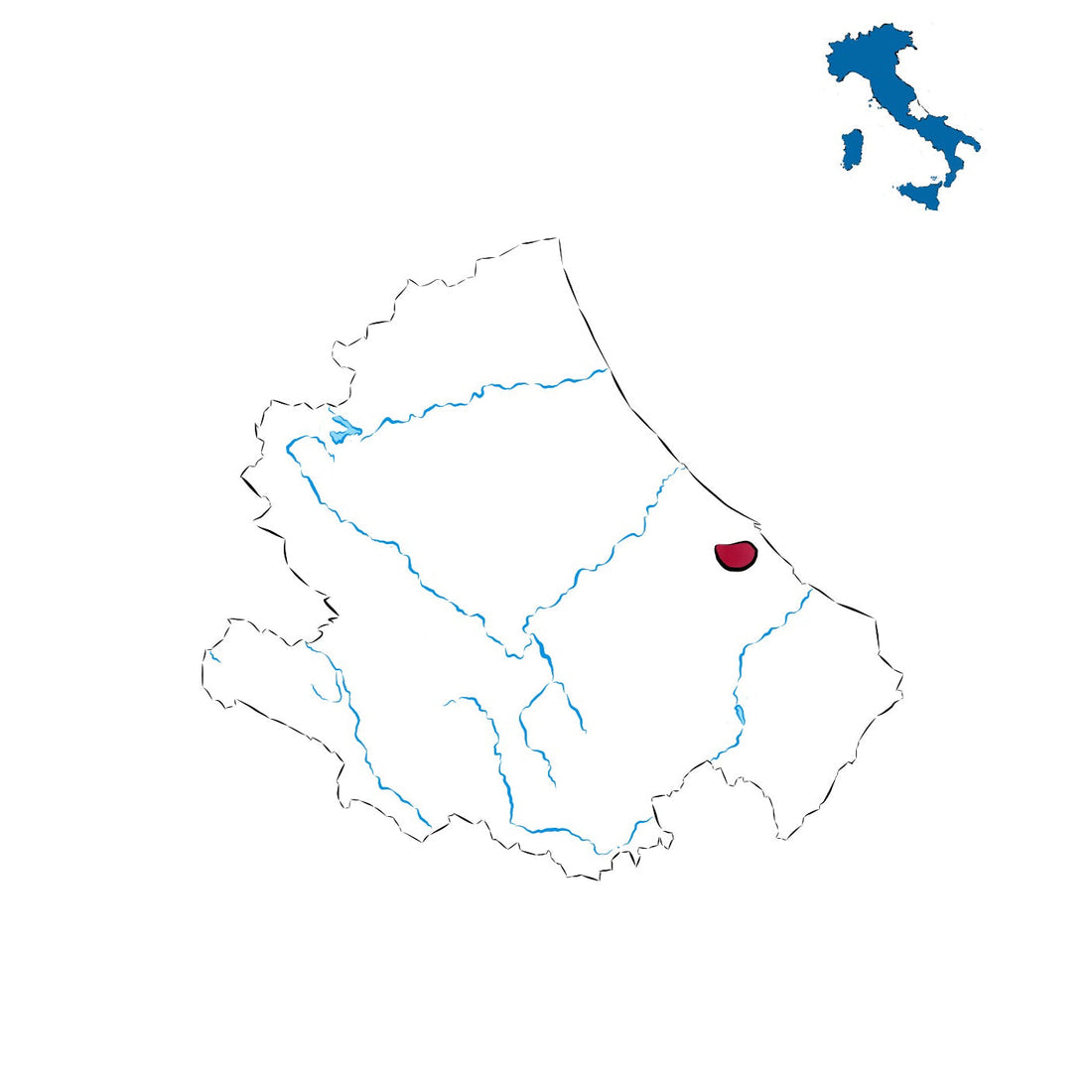 Terre Tollesi DOCG: l’eleganza dei vini piceni del maceratese