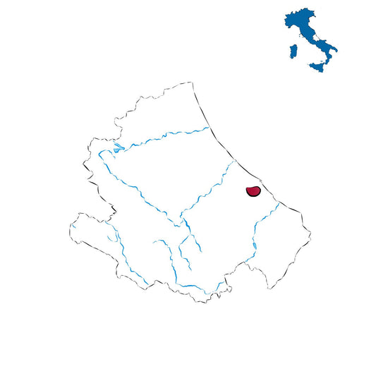 Terre Tollesi DOCG: l’eleganza dei vini piceni del maceratese