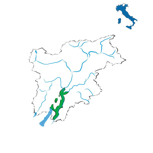 Trentino DOC: la versatilità del vigneto alpino