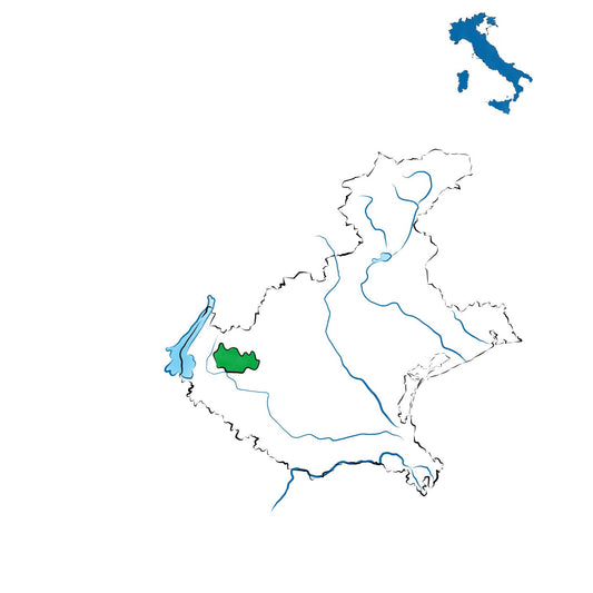 Valpolicella DOC: il classico rosso veronese