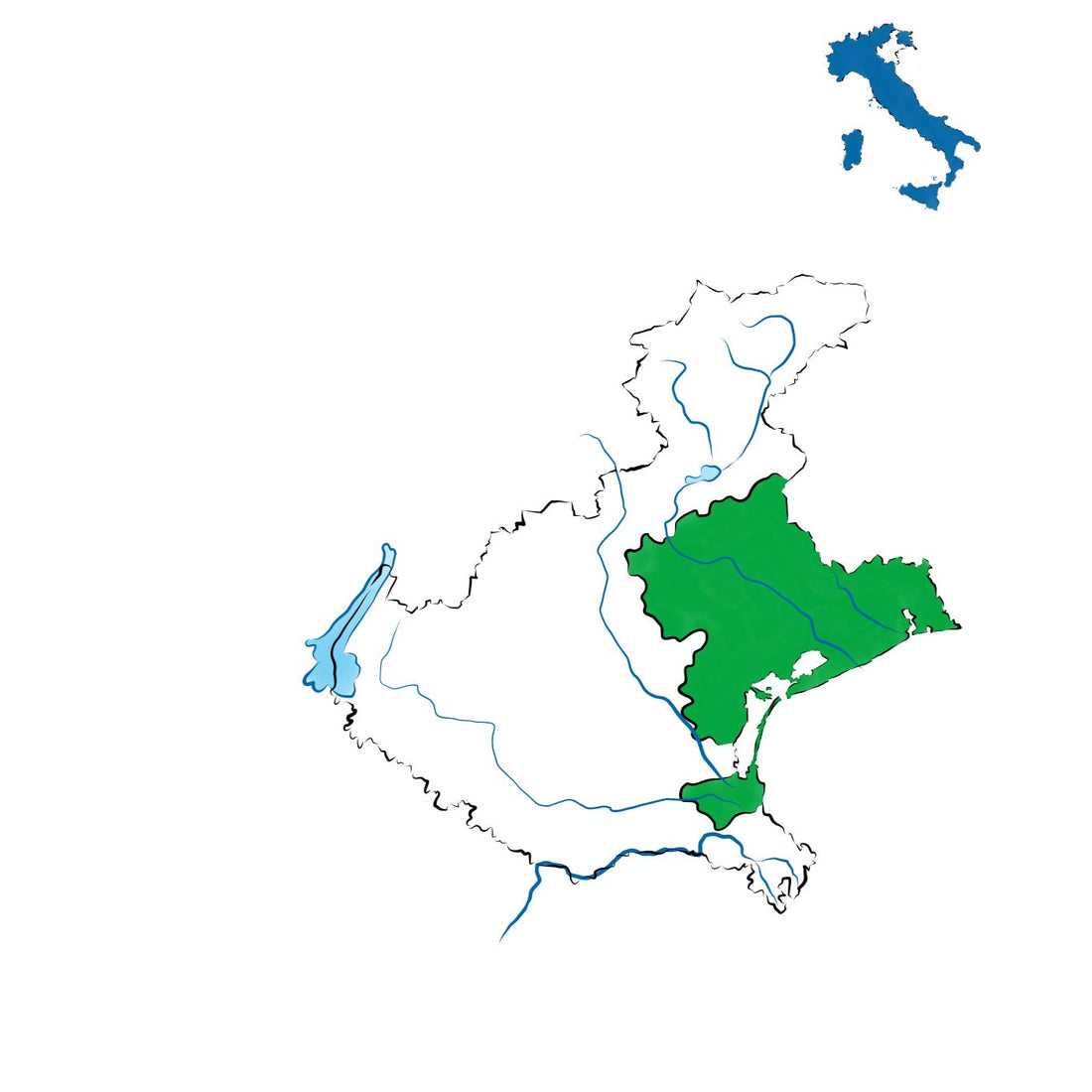 Venezia DOC: il vino versatile della laguna